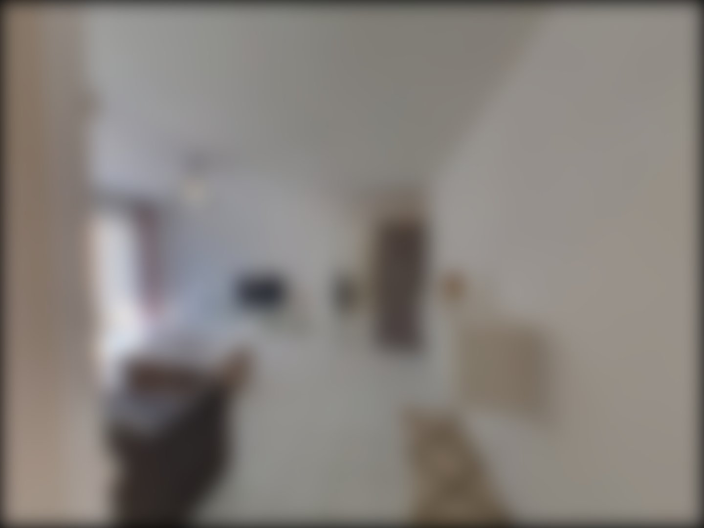 loading blurry tour image