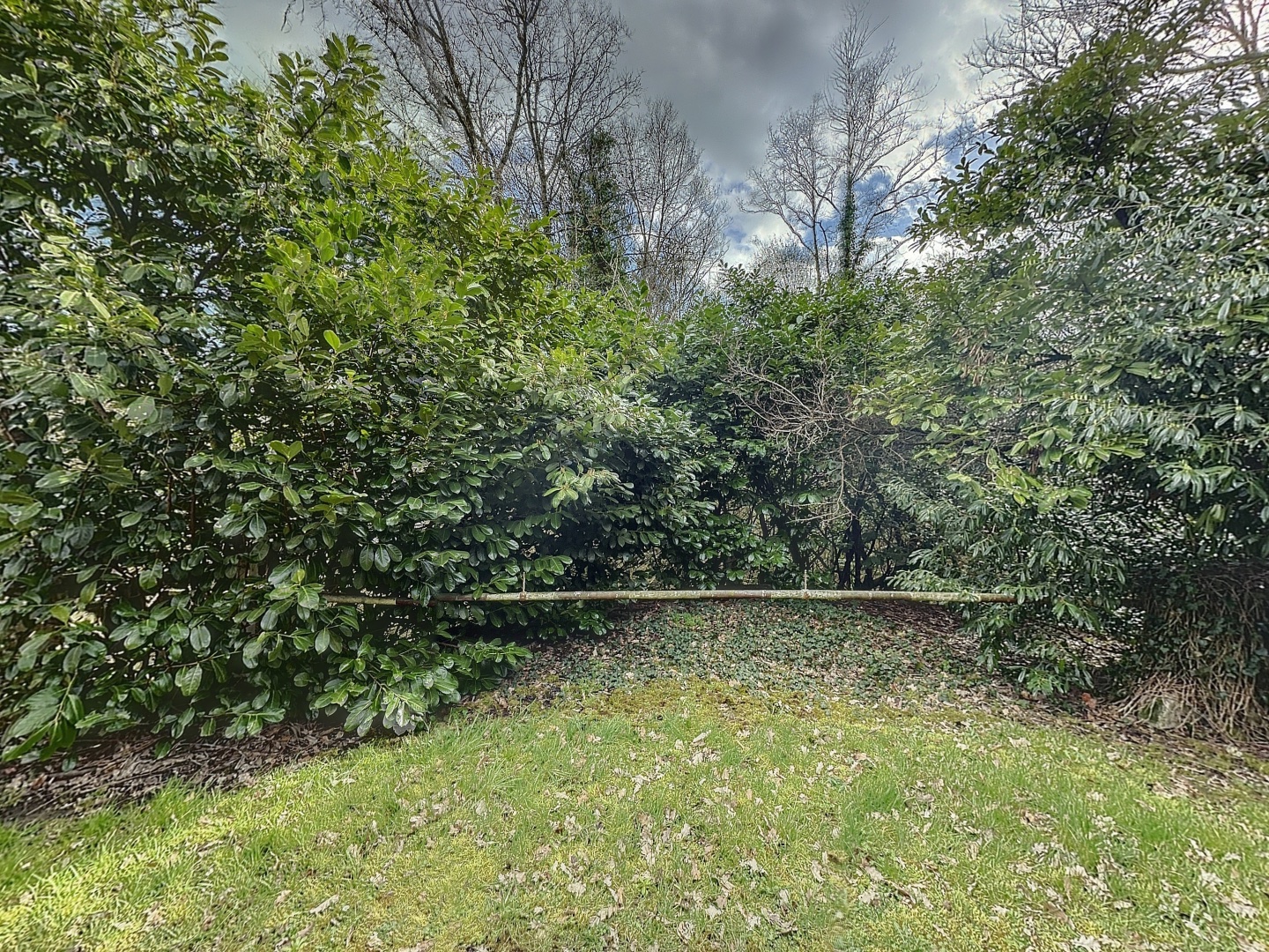 loading blurry tour image