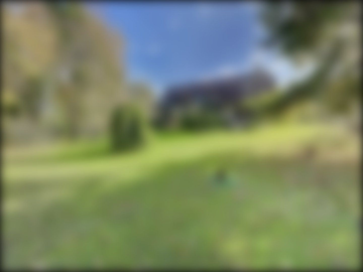 loading blurry tour image