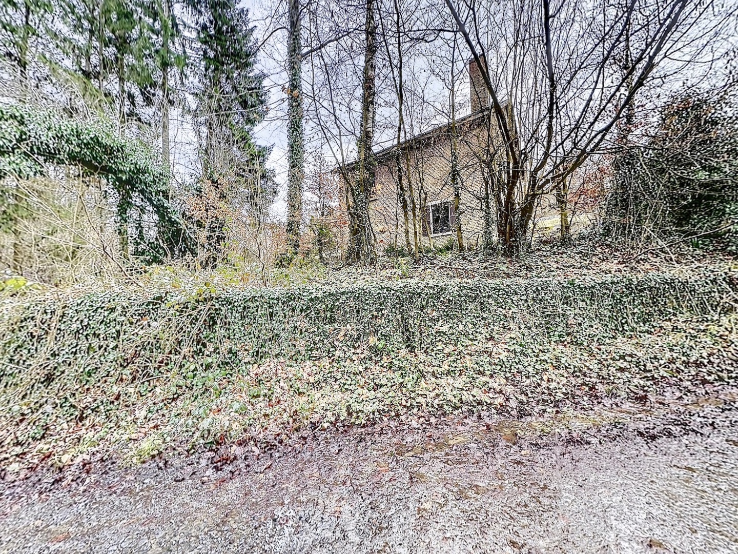 loading blurry tour image