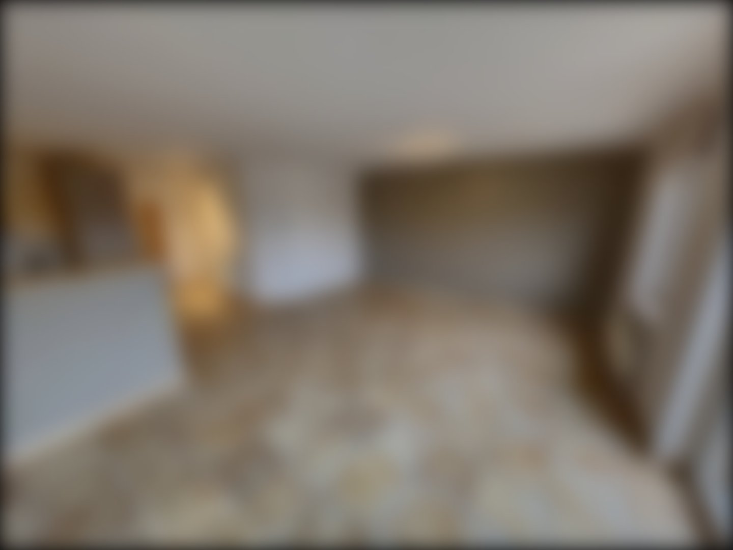 loading blurry tour image