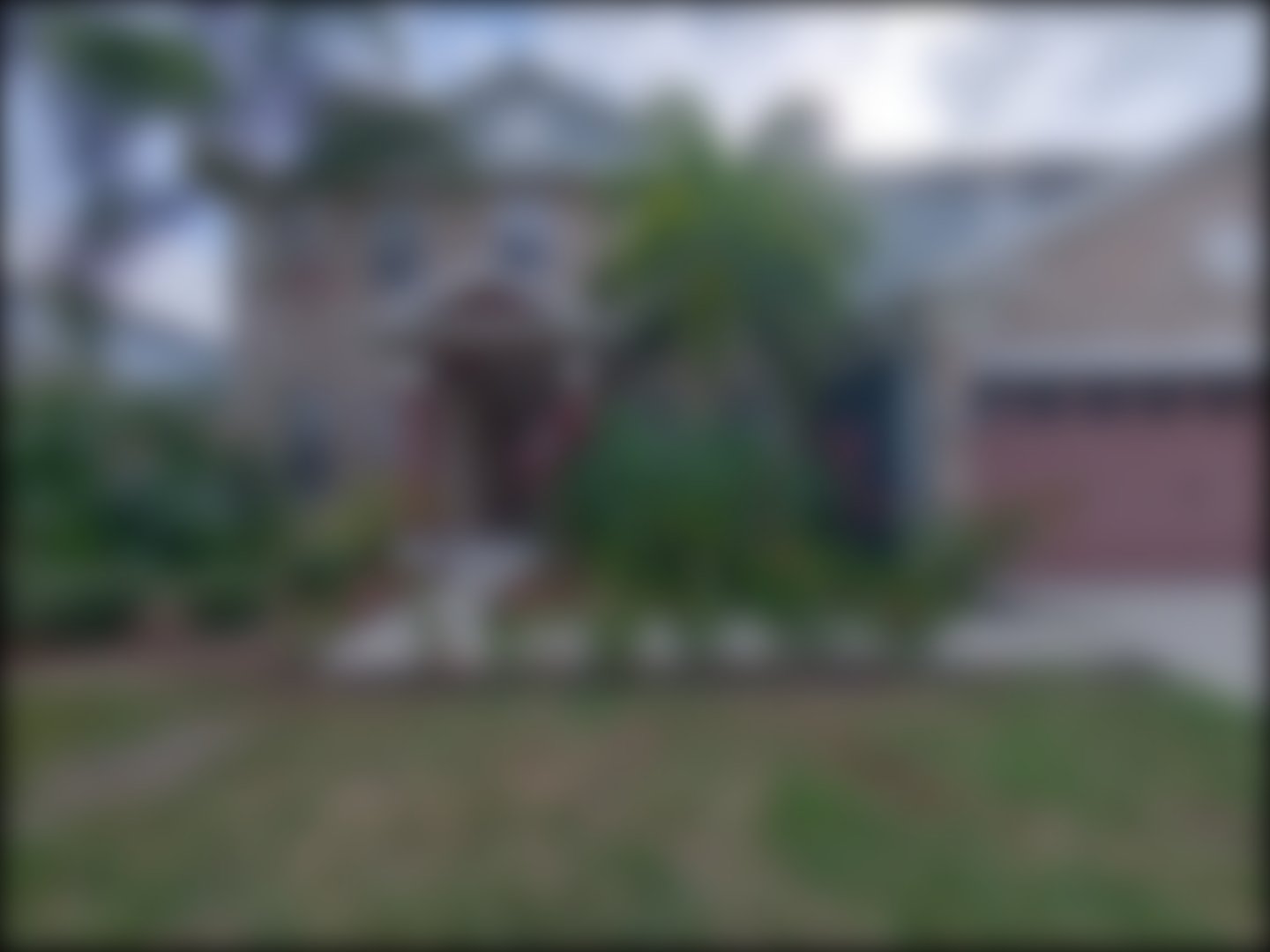 loading blurry tour image