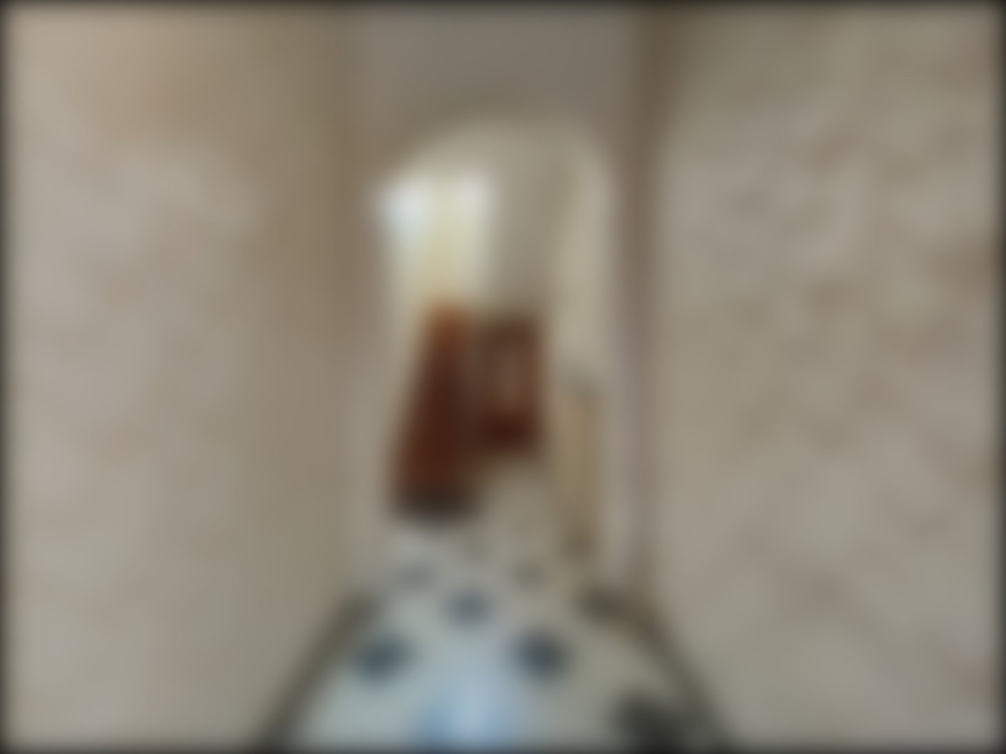 loading blurry tour image