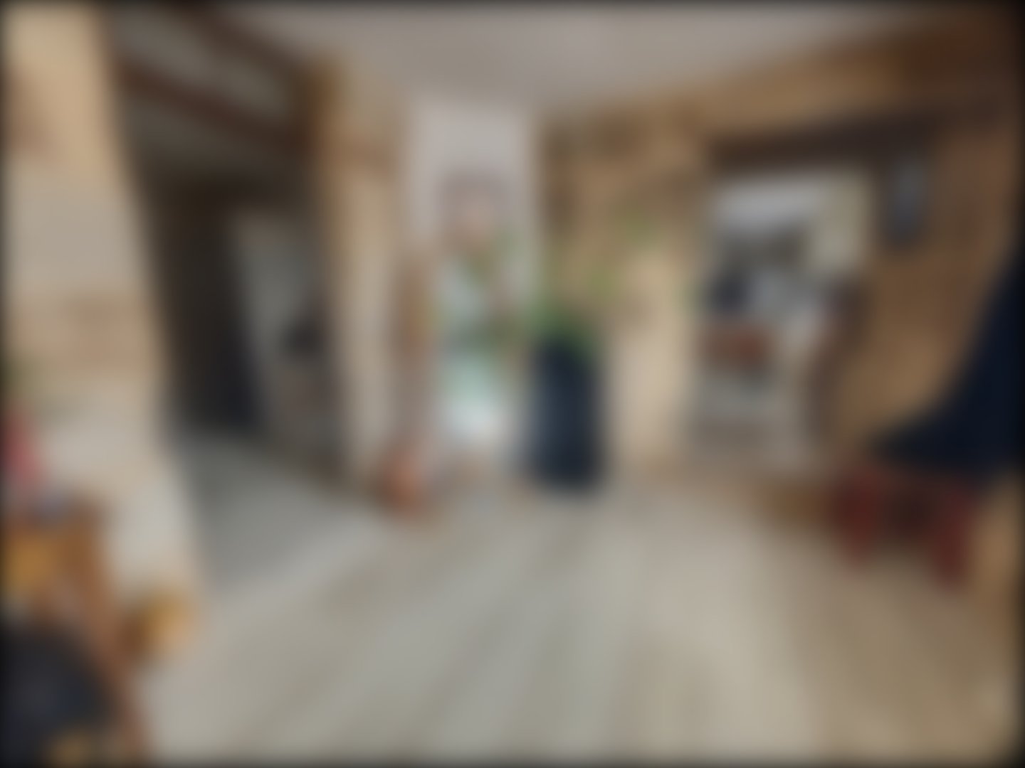 loading blurry tour image