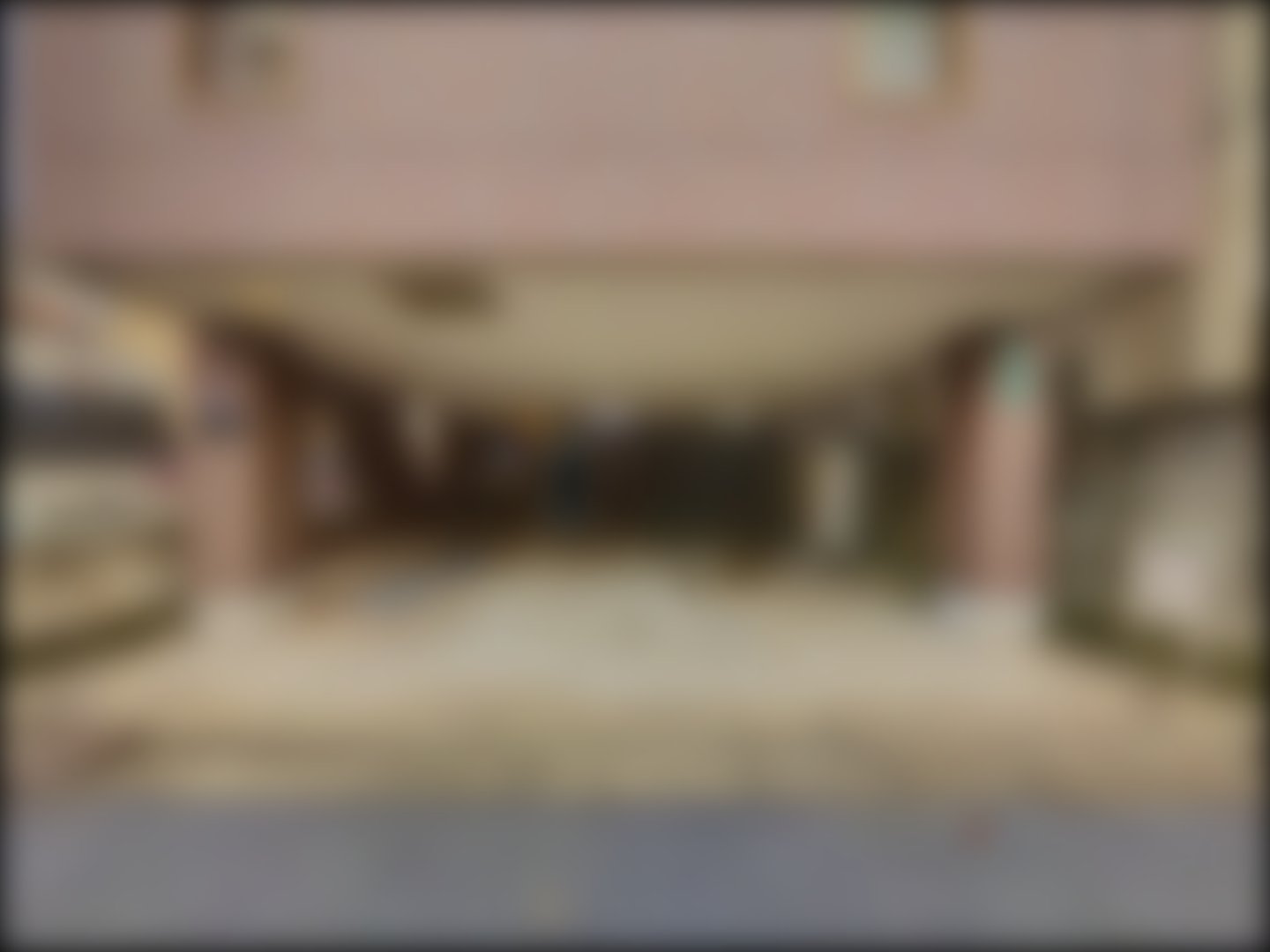 loading blurry tour image