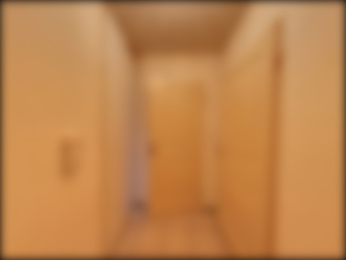 loading blurry tour image