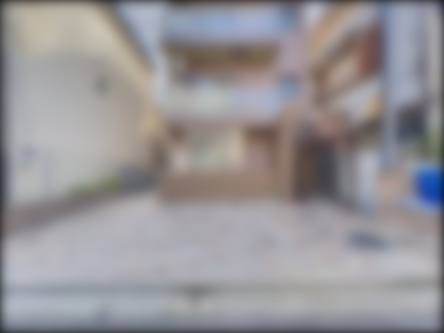 loading blurry tour image