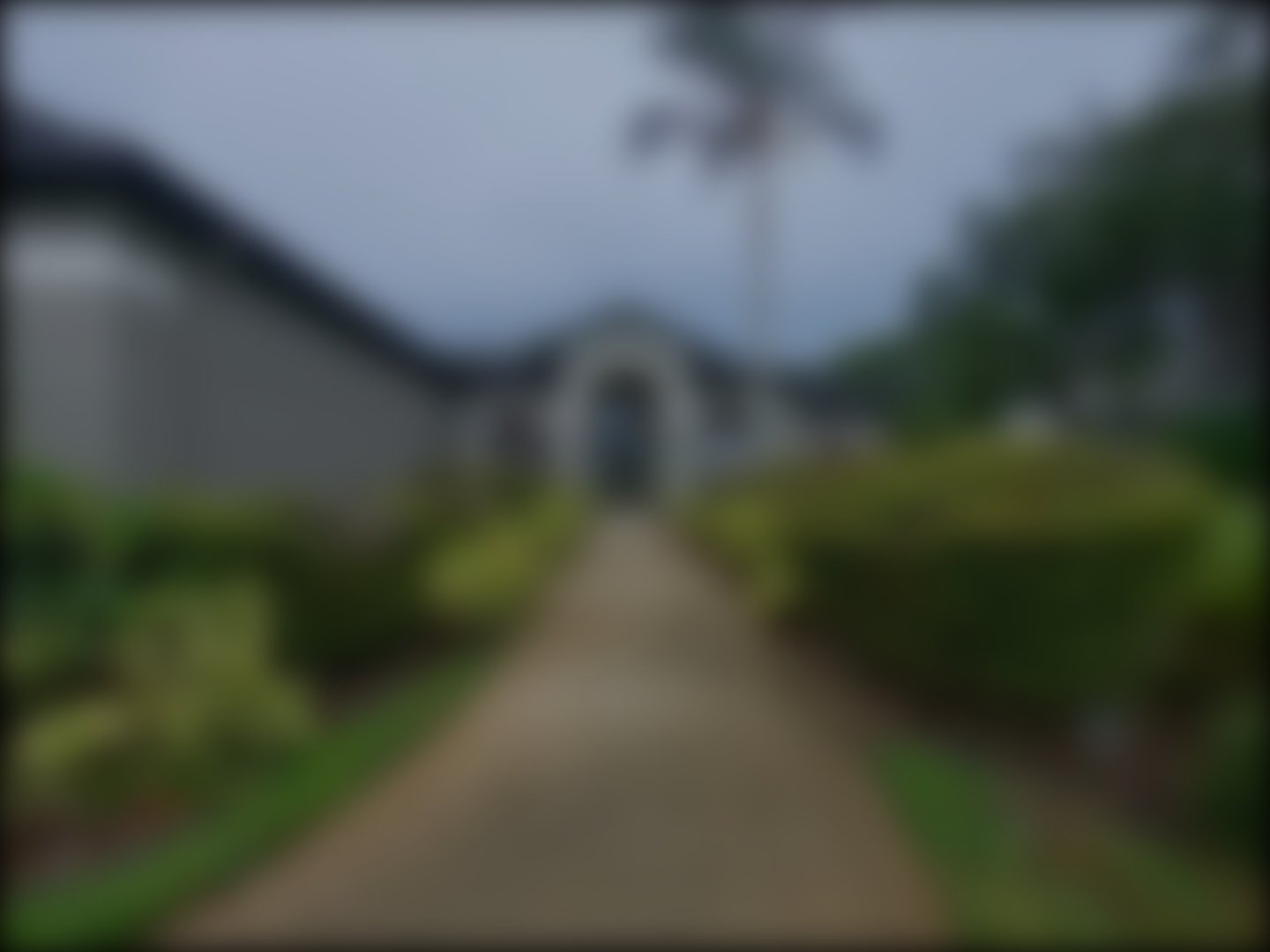 loading blurry tour image