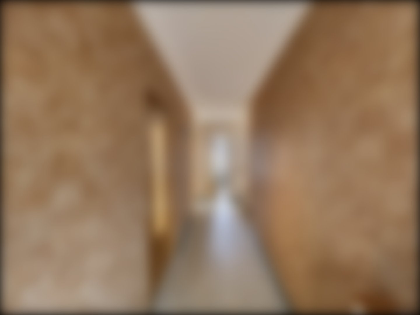 loading blurry tour image