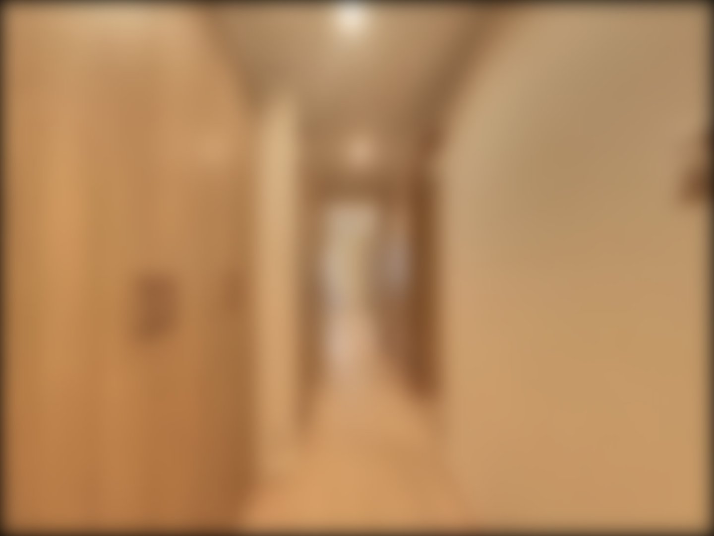 loading blurry tour image