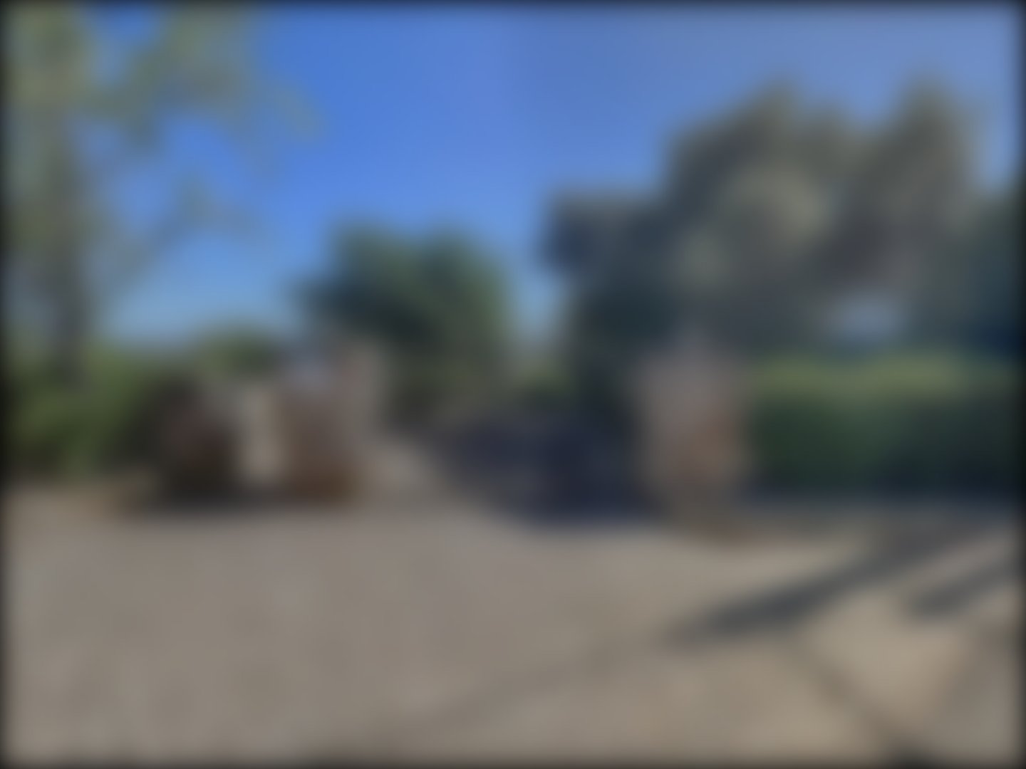 loading blurry tour image