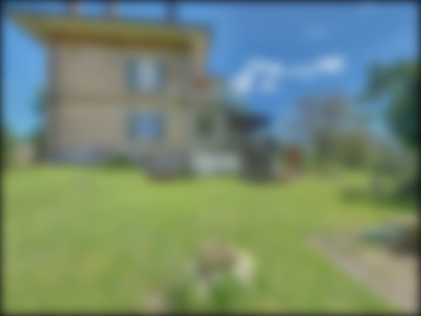 loading blurry tour image