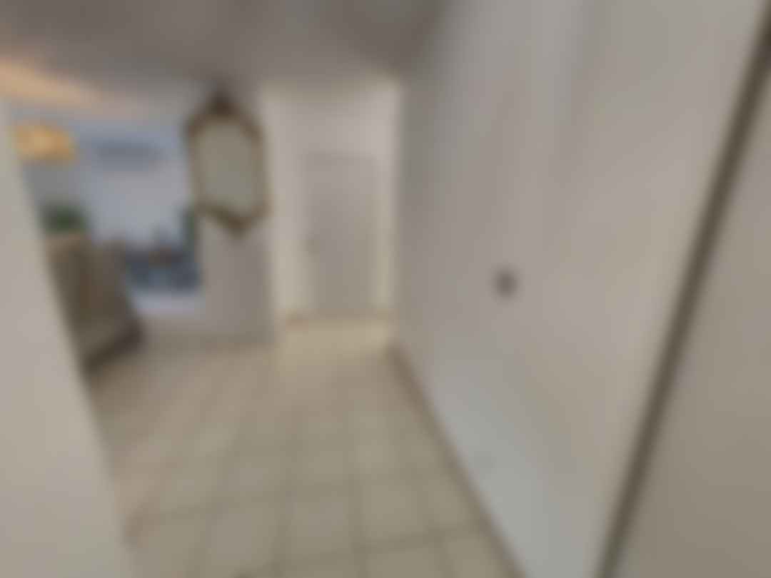 loading blurry tour image