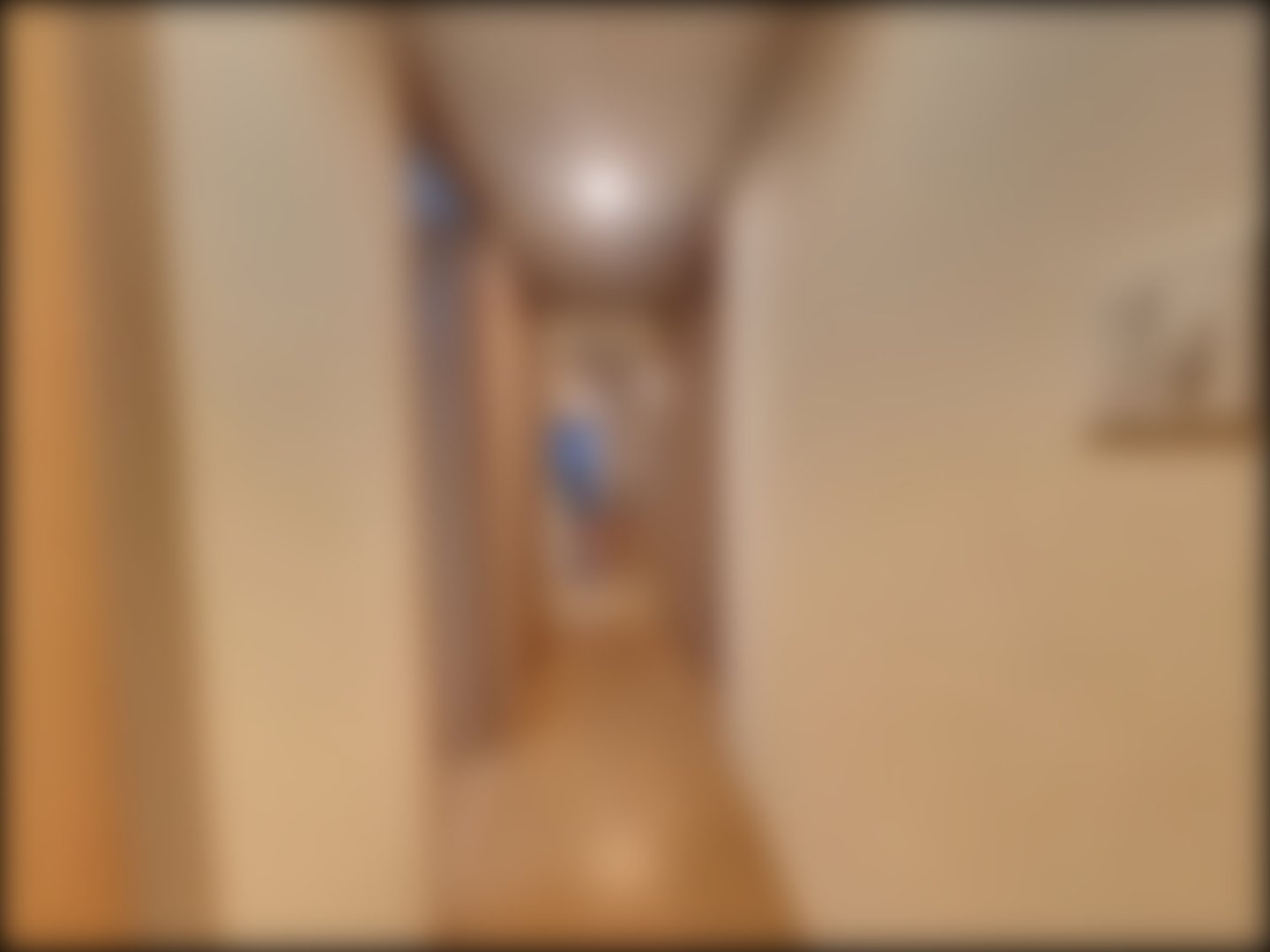 loading blurry tour image