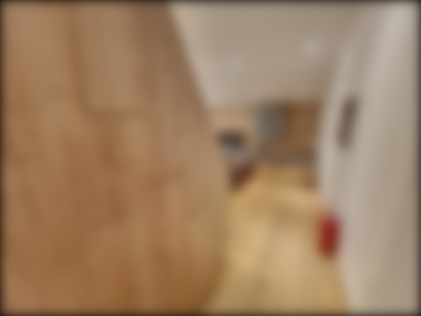 loading blurry tour image