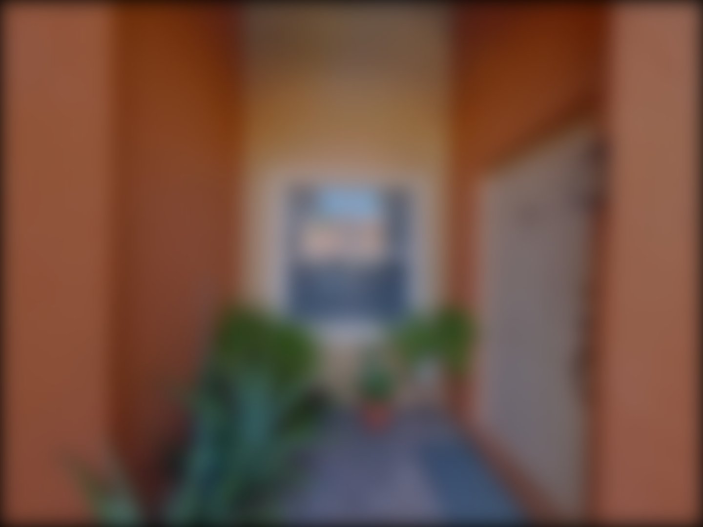 loading blurry tour image