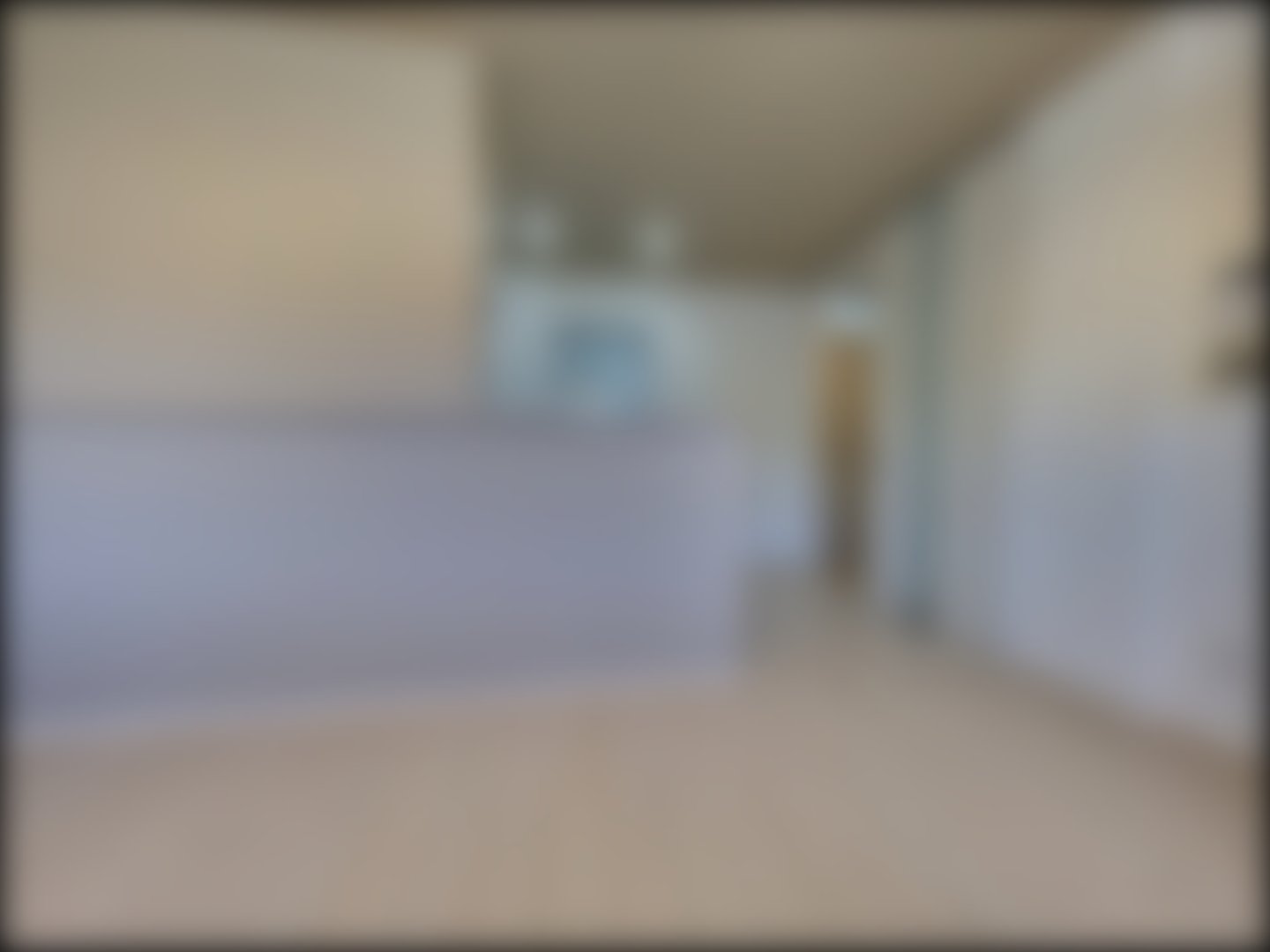 loading blurry tour image